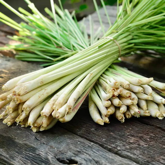 Citronelle3 Fruit Martinique