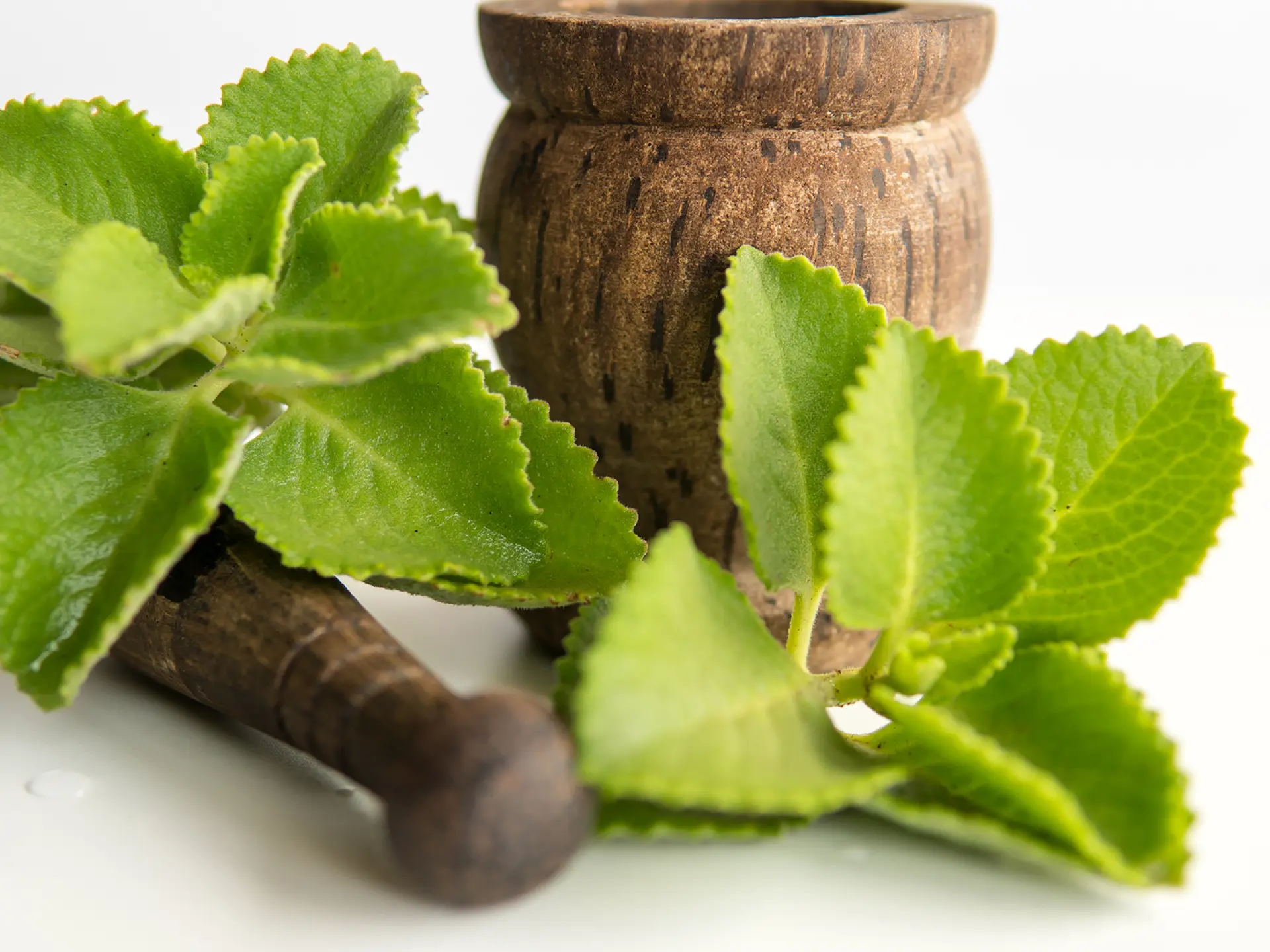 Grosthym Epices Martinique