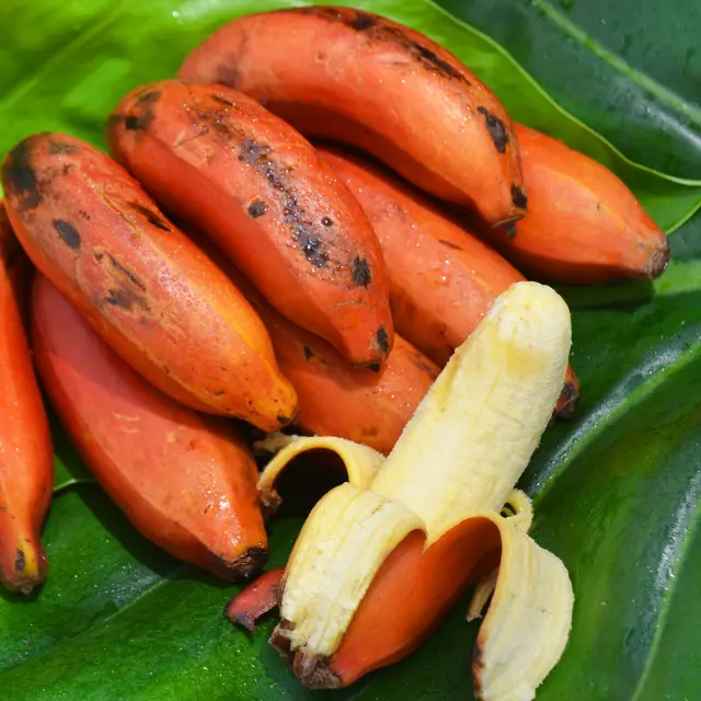 Banane rose Fruit Martinique