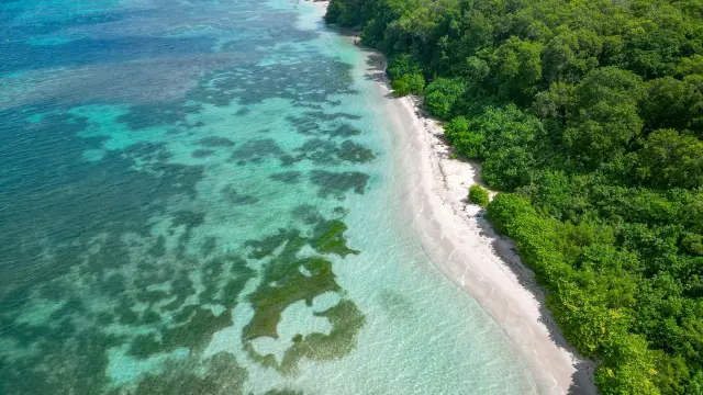 Plage Anse Caritan Sainte-Anne Martinique
