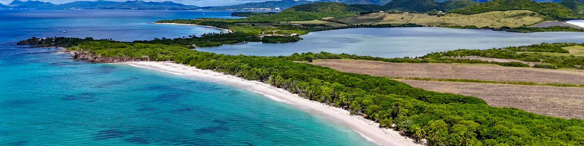 Plage des Salines Étang des Salines Sainte-Anne Martinique