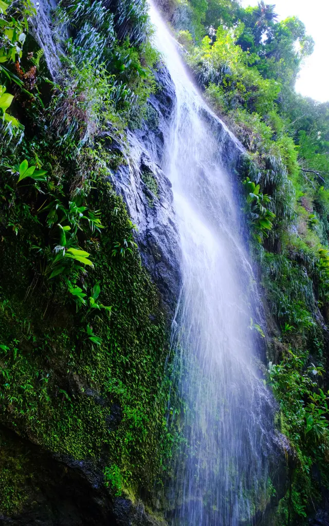 Cascade Randonnée Anse Couleuvre Prêcheur Martinique