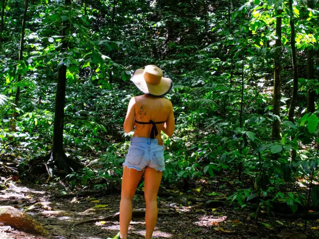 Randonnée Anse Couleuvre Prêcheur Martinique