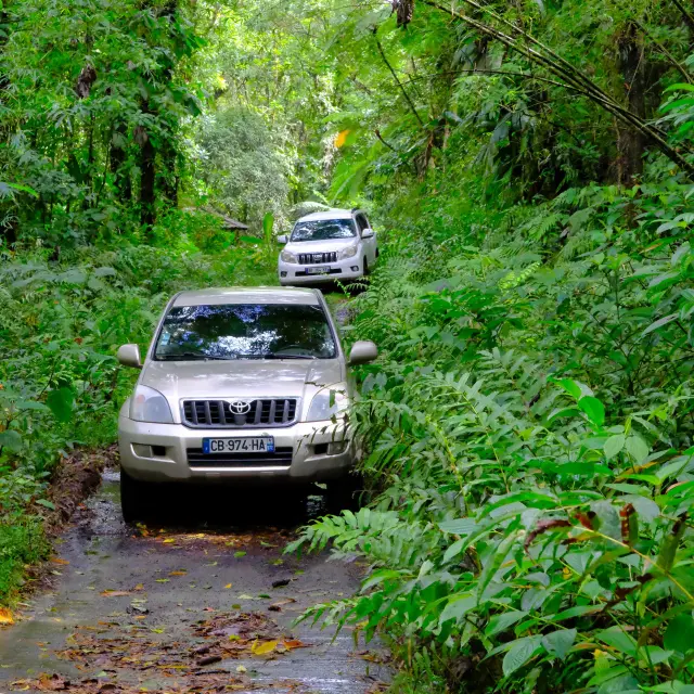Excursion en 4x4 Tropic 4x4 Trois-îlets Martinique