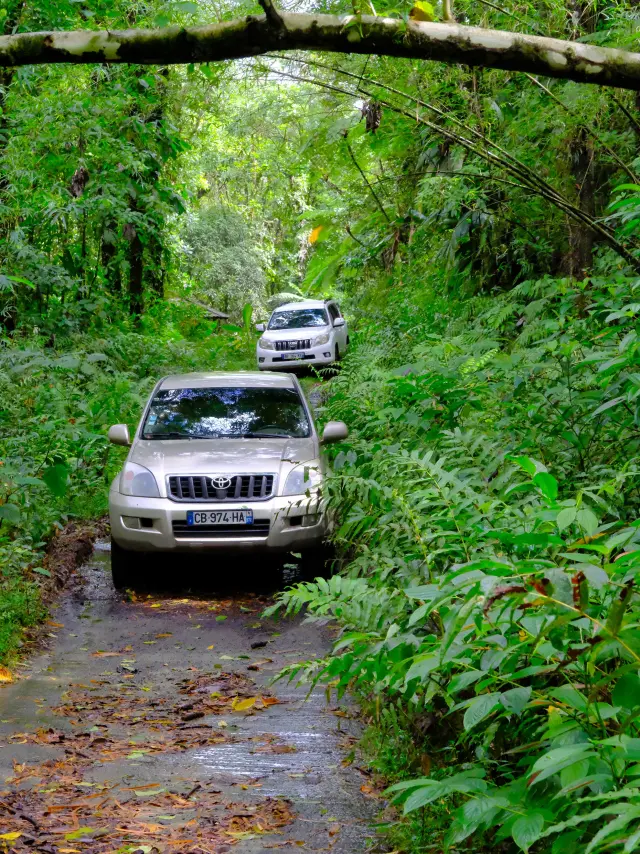 Excursion en 4x4 Tropic 4x4 Trois-îlets Martinique
