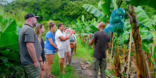 Bananeraie Tropic 4x4 Trois-îlets Martinique