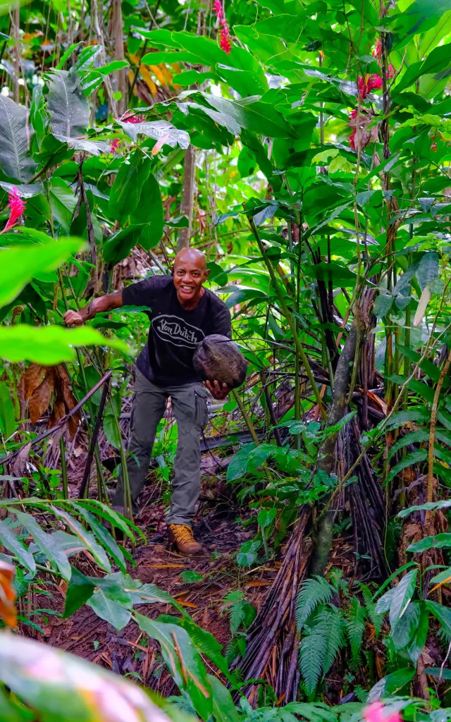 Excursion en 4x4 Tropic 4x4 Trois-îlets Martinique