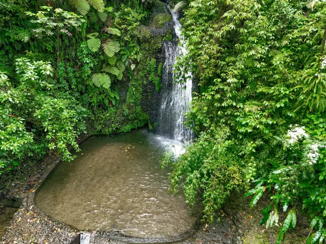 Cascade du saut gendarme Fonds-Saint-Denis Martinique