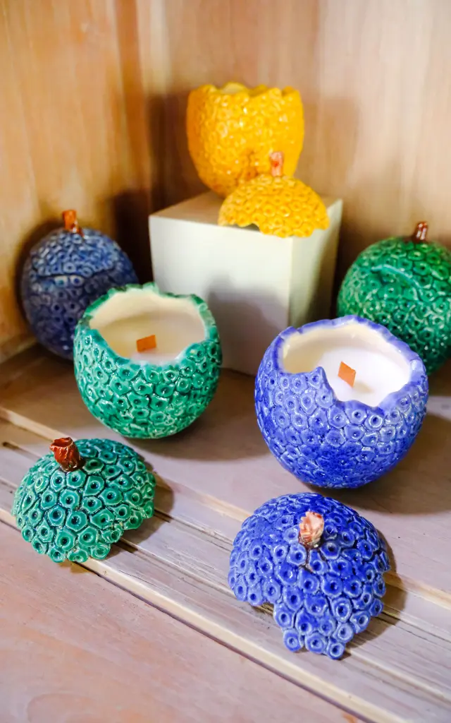 Bougie Ysnay Lamentin Martinique