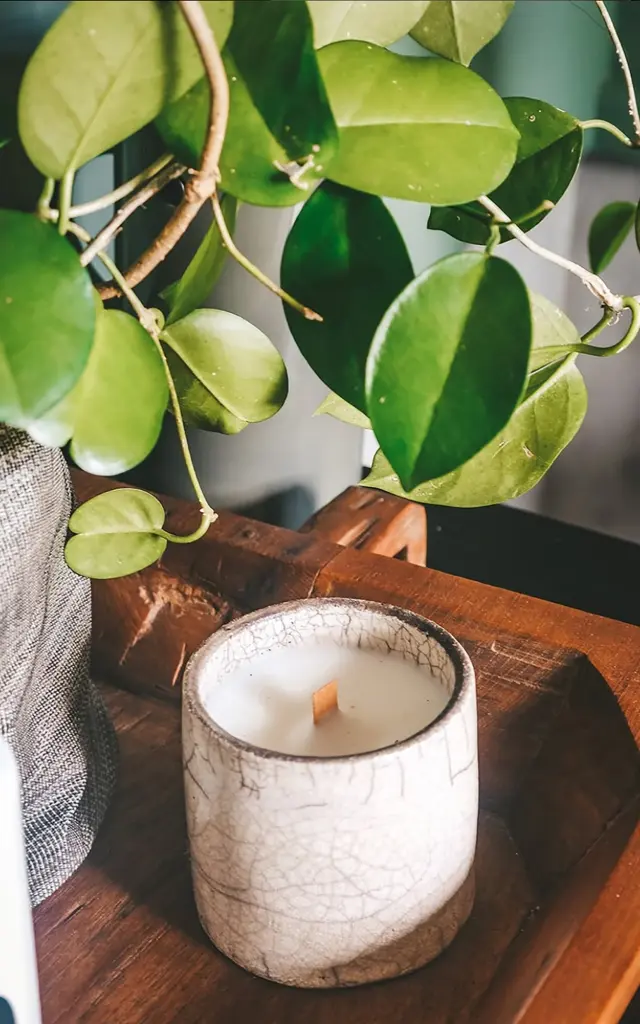 Chambre d'hôte La Villa Baobab Rouge Ysnay Lamentin Martinique