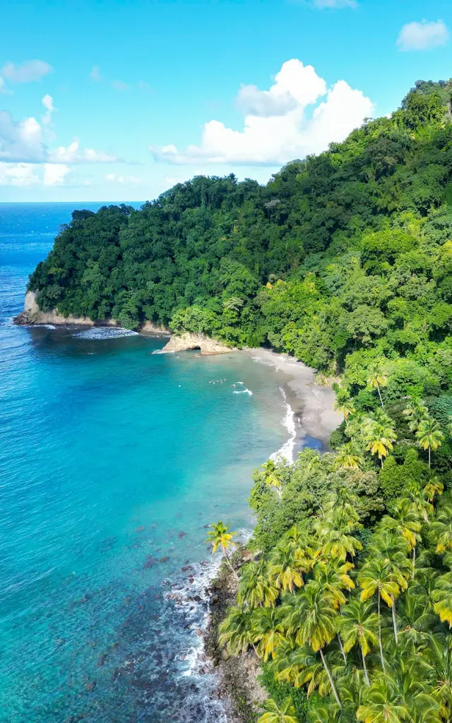 Plage Anse Couleuvre Prêcheur Martinique