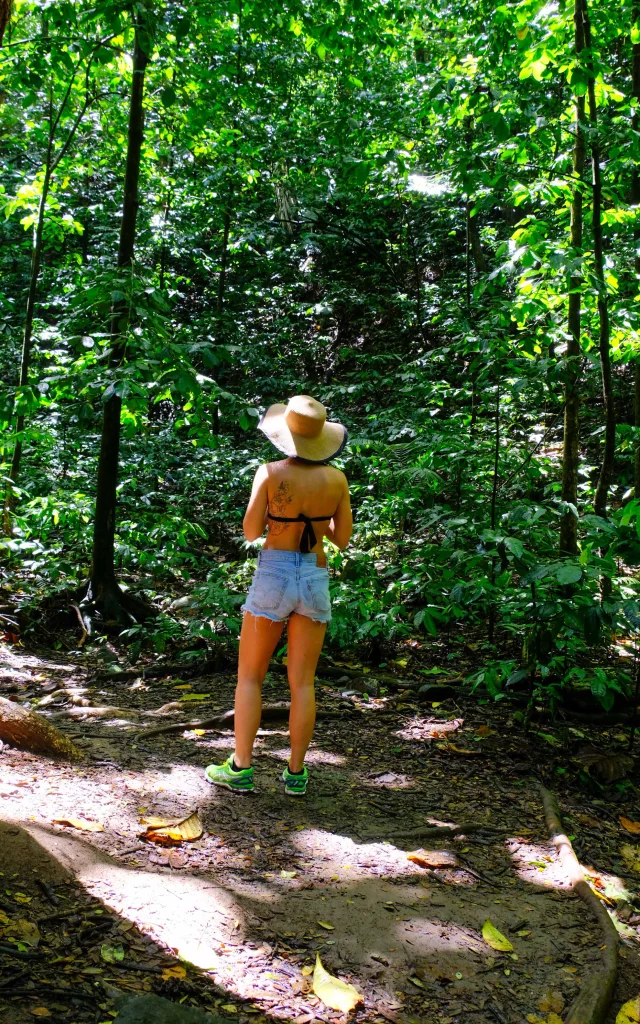 Randonnée Anse Couleuvre Prêcheur Martinique