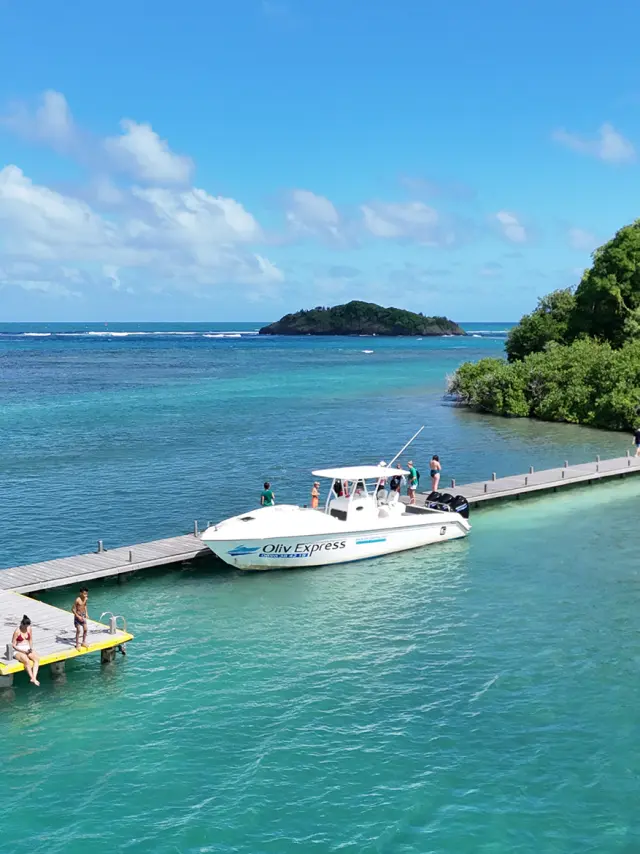 Oliv' Express François Ilet Madame Robert Martinique