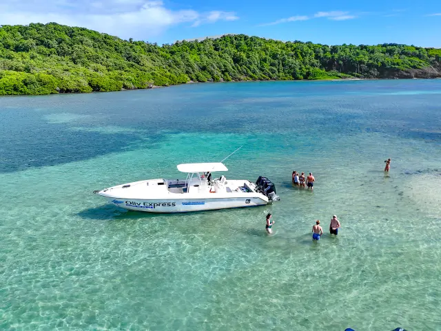 Oliv' Express François Fond blanc du Trapèze Robert Martinique