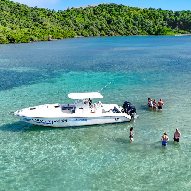Oliv' Express François Fond blanc du Trapèze Robert Martinique