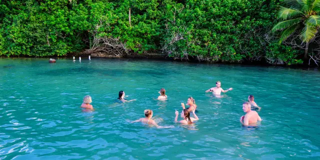 Oliv' Express François Martinique