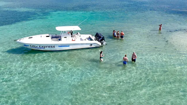 Oliv' Express François Fond blanc du Trapèze Robert Martinique