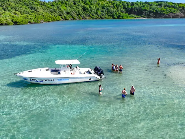 Oliv' Express François Fond blanc du Trapèze Robert Martinique