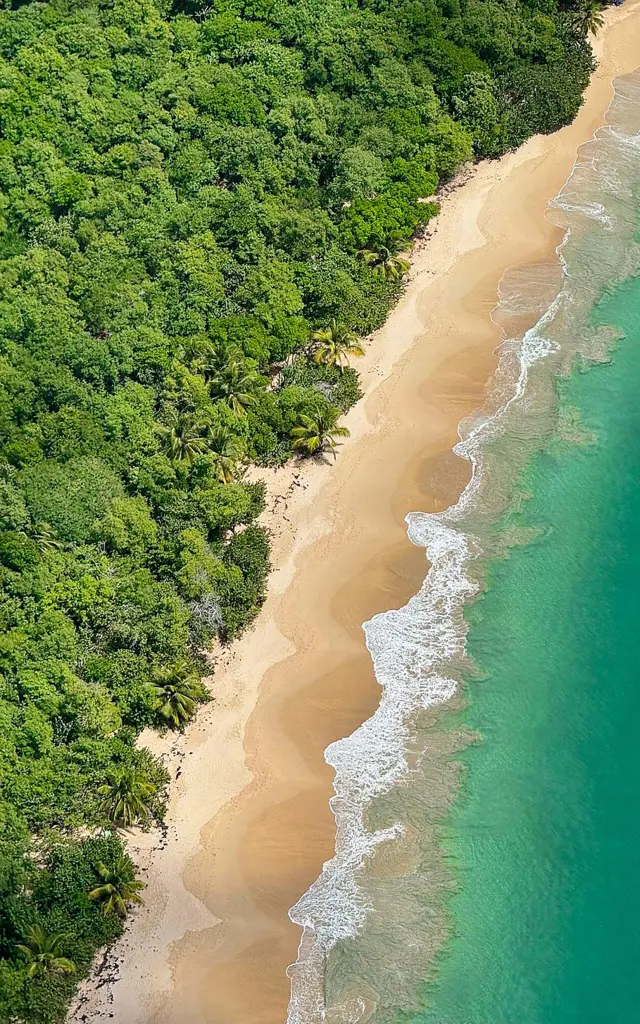 Plage Aerodream Lamentin Martinique