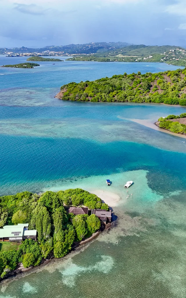 Fond blanc du Trapèze Robert Martinique