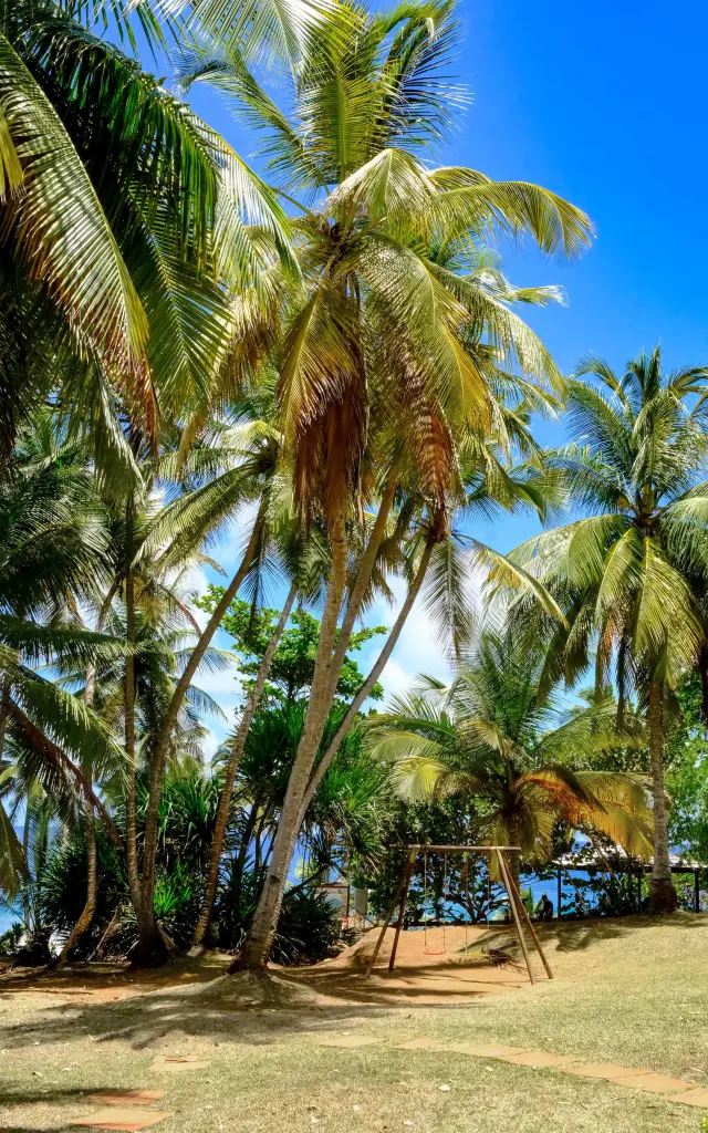 Restaurant Le Point de vue Sainte-Marie Martinique