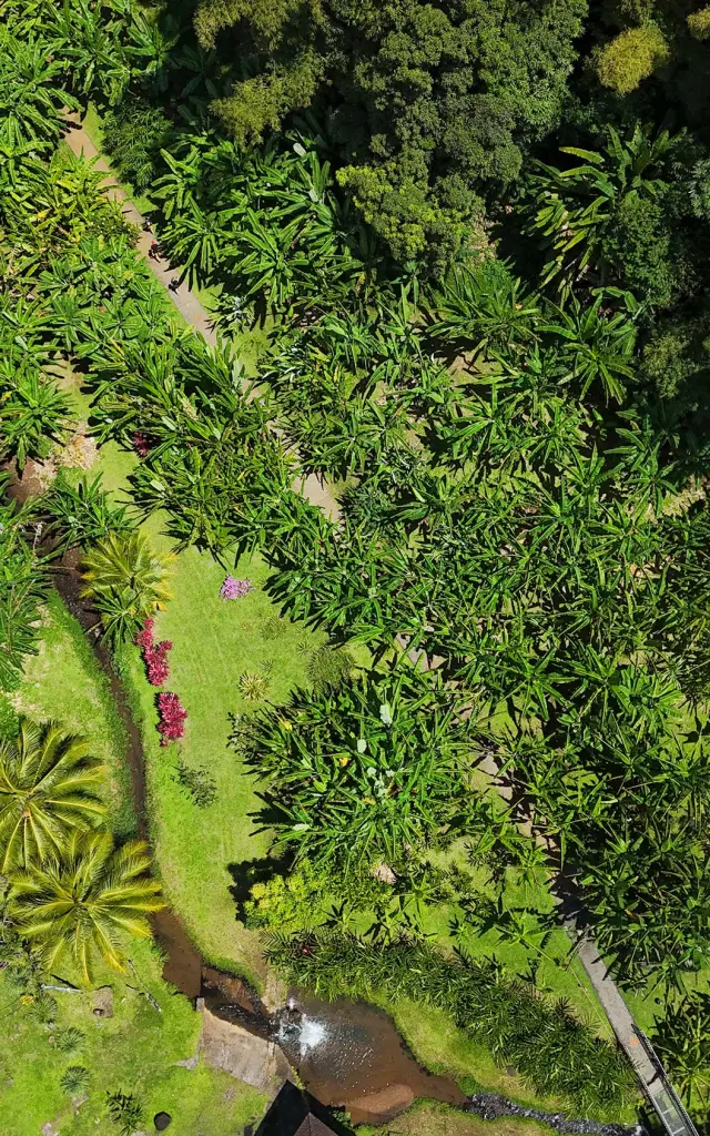 Musée de la banane Sainte-Marie Martinique