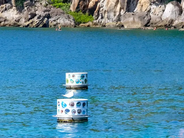 Sentier Lakay Anses d'Arlet Martinique