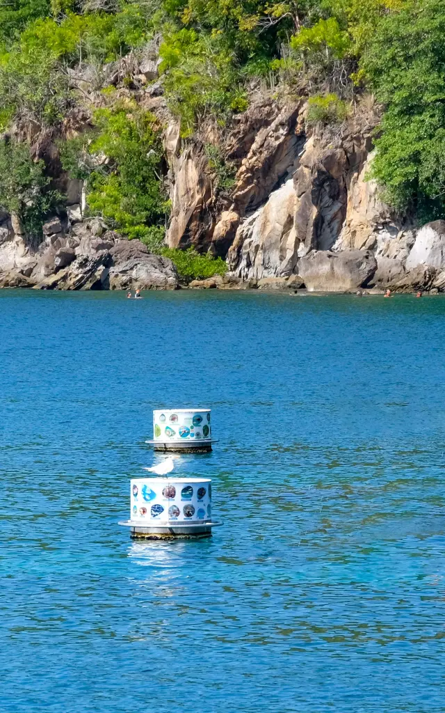 Sentier Lakay Anses d'Arlet Martinique