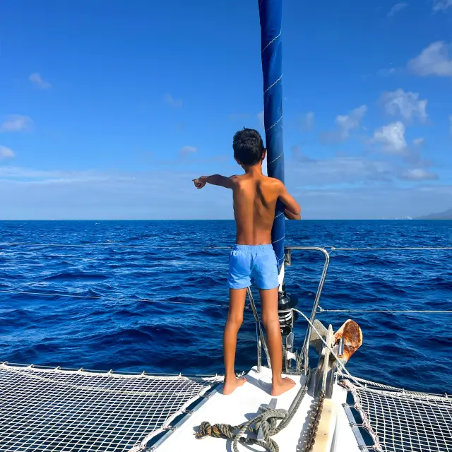 Catamaran Aliotis Les Anses d'Arlet Martinique