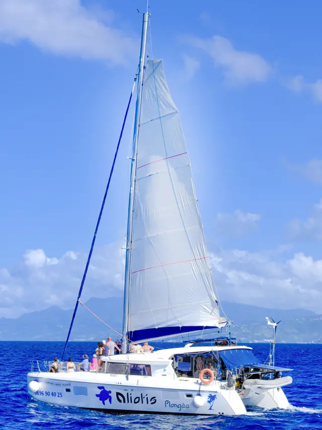 Catamaran Aliotis Les Anses d'Arlet Martinique