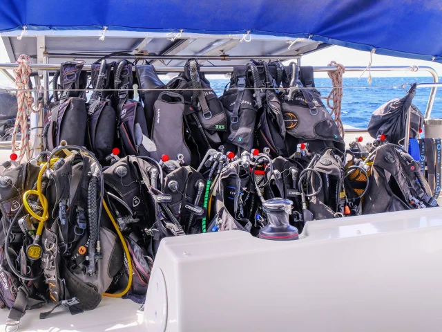 Clubdeplontee Aliotis Lesansesdarlet Martinique