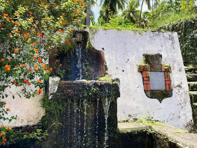 Distillerie HBS Habitation Beauséjour Grand rivière Martinique