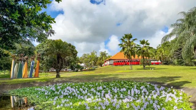 Jardin Maison La Mauny Riviere-Pilote Martinique