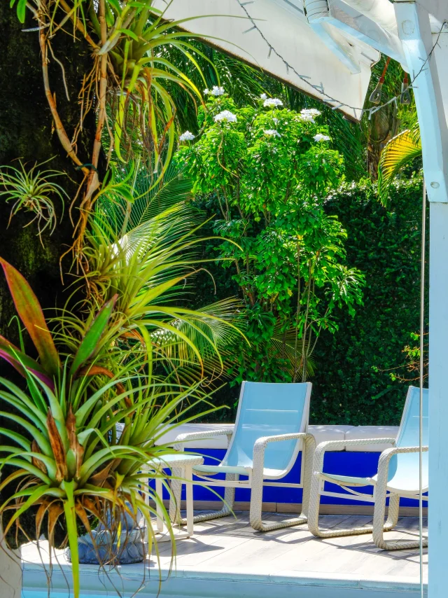 Piscine Hôtel Frégate Bleue François Martinique