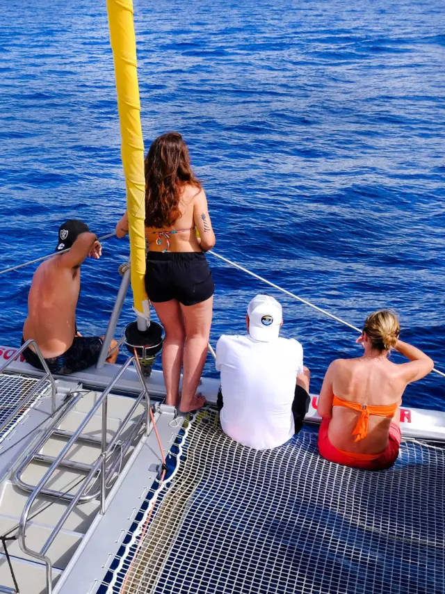 Observation des dauphins Catamaran Soley Mambo Martinique