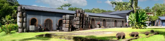 Habitation Saint-Etienne Rhums HSE Gros-Morne Martinique