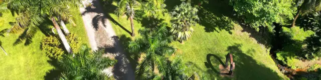 Jardin Distillerie HSE Gros-Morne Martinique