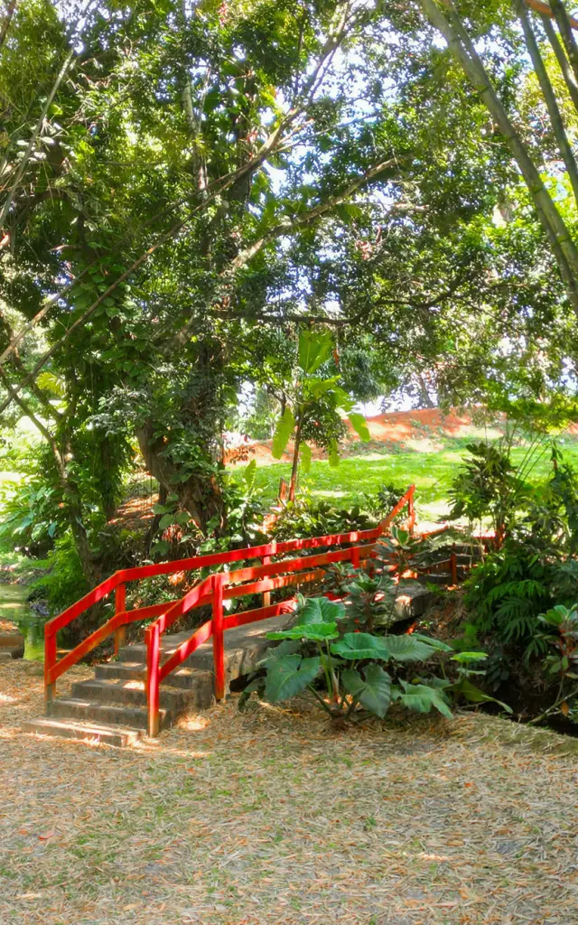 Jardin Distillerie HSE Gros-Morne Martinique