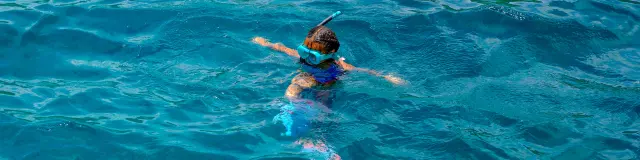 Snorkeling Martinique