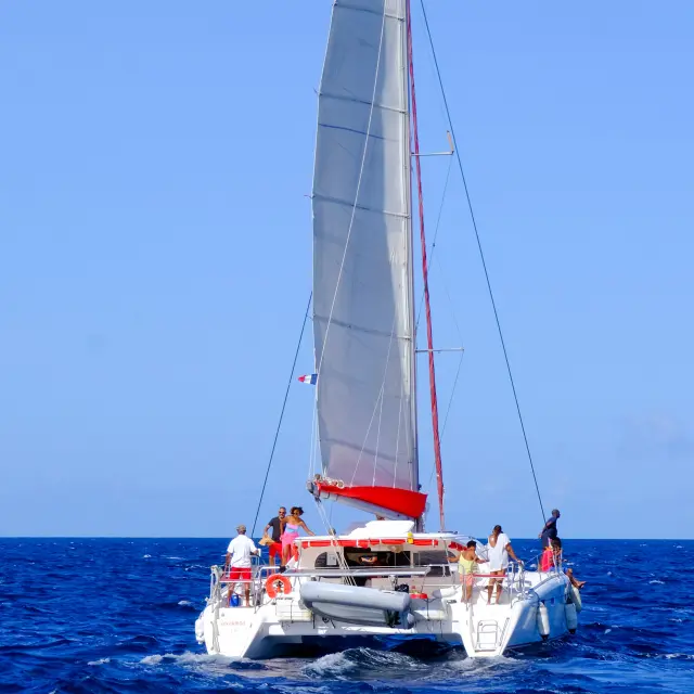 Catamaran Kokoumdo Trois-Ilets Martinique
