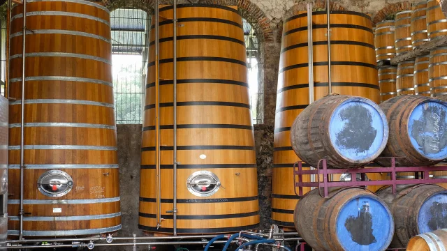 Foudre Chais des rhums HSE Distillerie HSE Habitation Saint-Etienne Gros-Morne Martinique