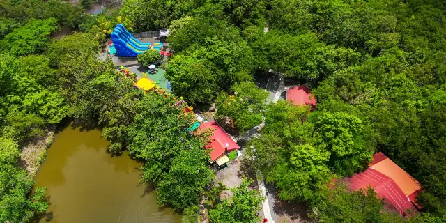 Parkadonf Anses-d'Arlet Martinique