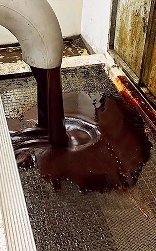 Mélasse Canne à sucre