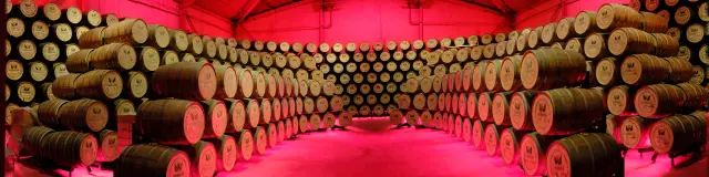 Chais Distillerie JM Distillerie Fond Préville Macouba Martinique