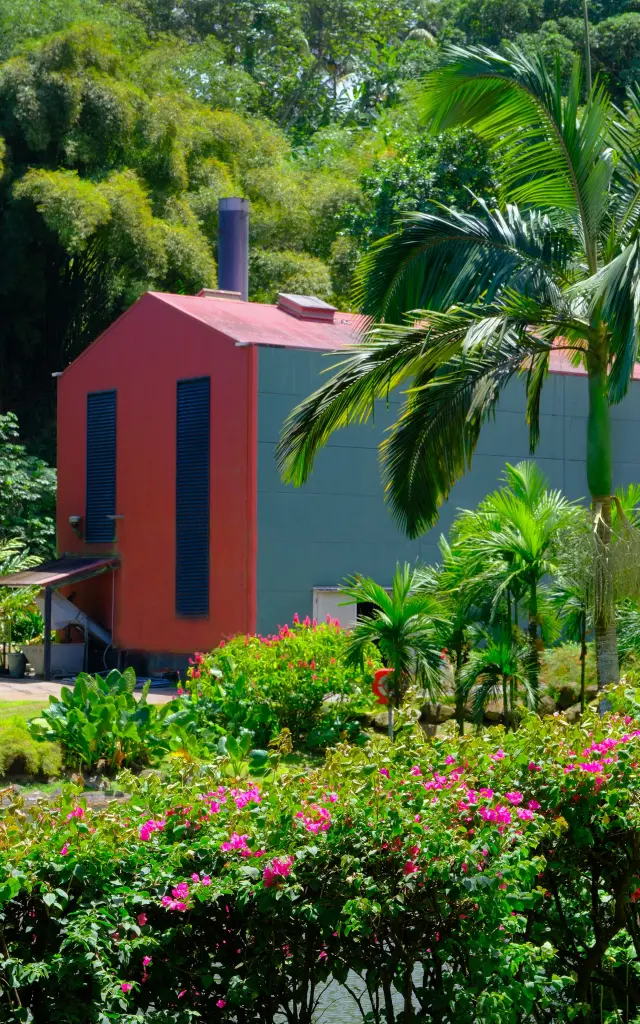 Jardin Distillerie JM Distillerie Fond Préville Macouba Martinique