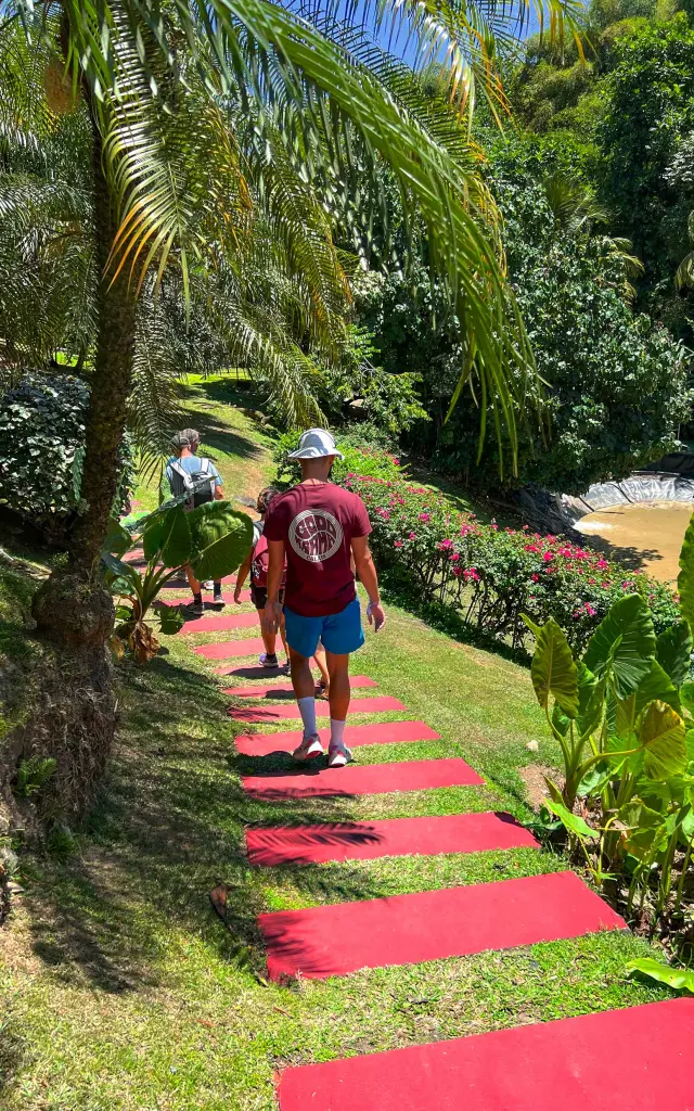 Jardin Distillerie JM Distillerie Fond Préville Macouba Martinique
