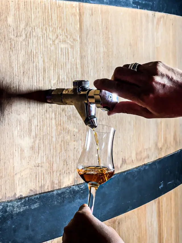 Distillerie JM Distillerie Fond Préville Macouba Martinique