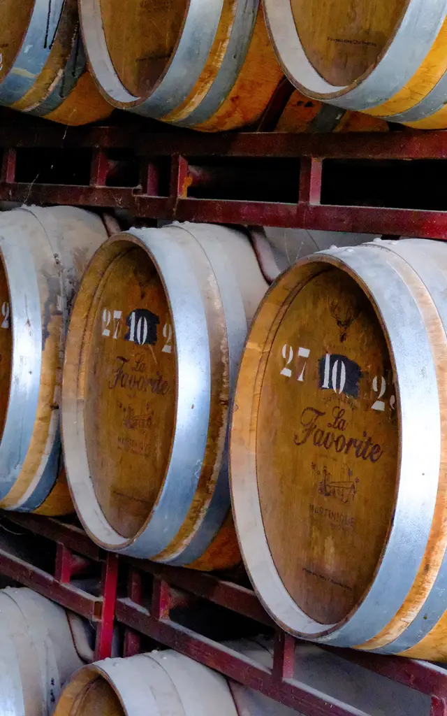 Chais Tonneau Distillerie La Favorite Lamentin Martinique