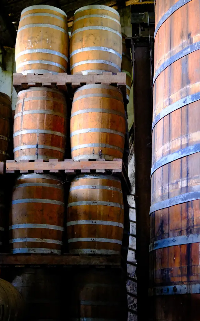 Chais Tonneau Distillerie La Favorite Lamentin Martinique