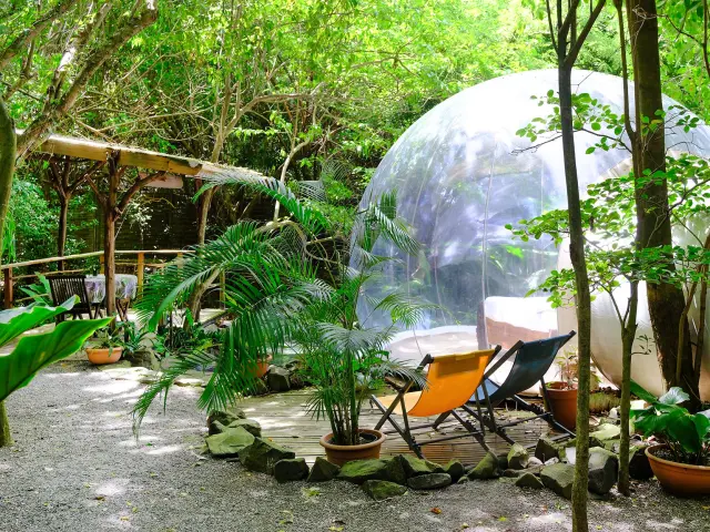 Bulle d'eau Domaine des Bulles Vauclin Martinique